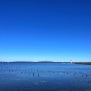 Sète 🌊 (3/3) avec un détour par Marseillan 🌞